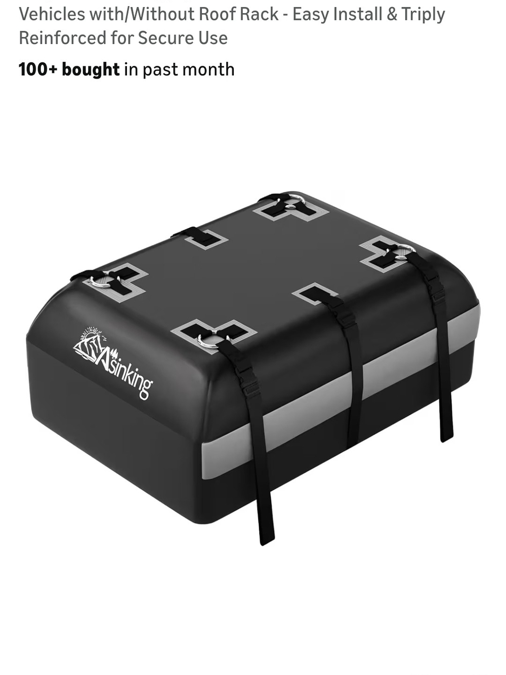 Black Rooftop Cargo Carrier with Silver Stripe